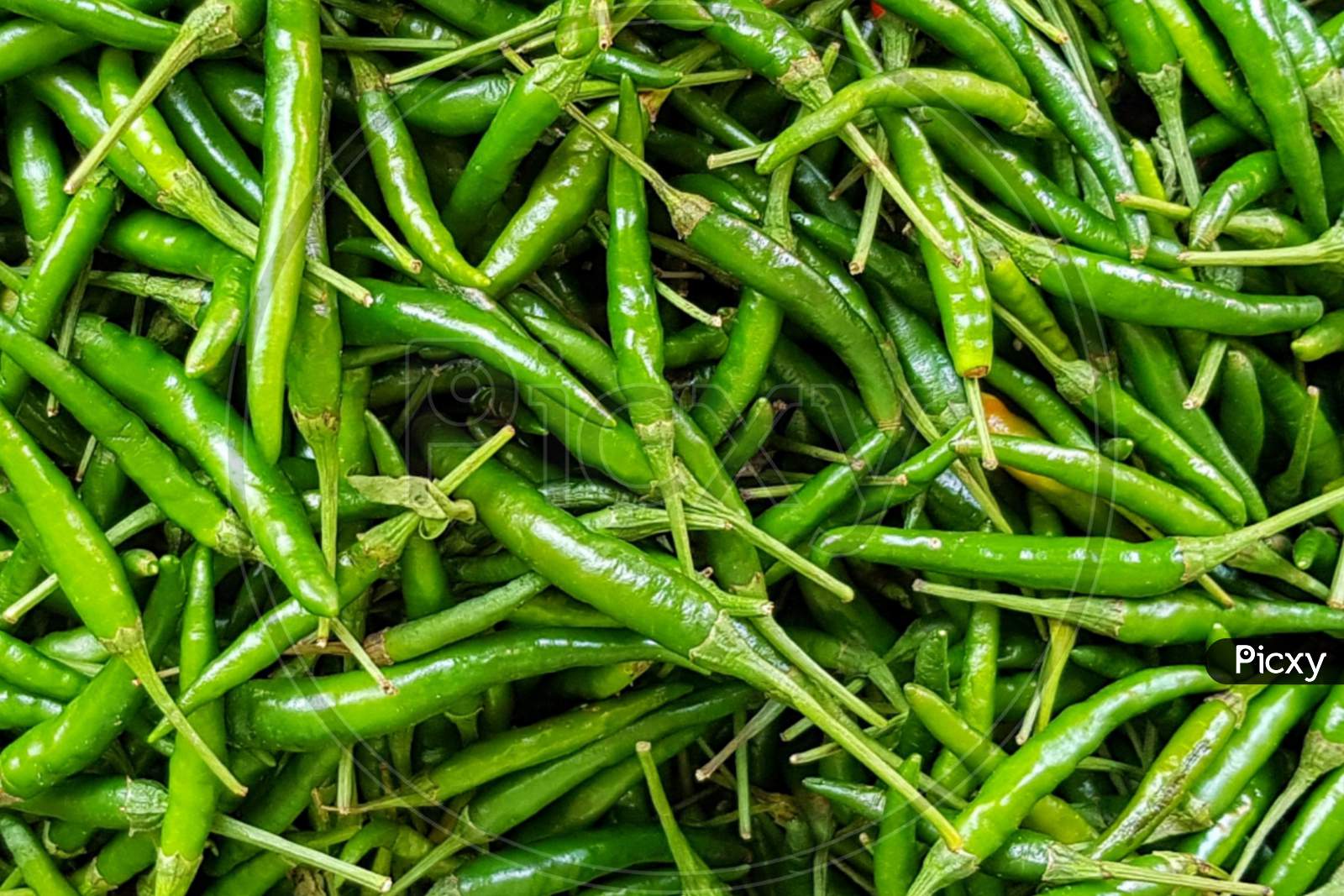 Green Chilli