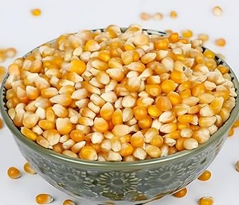 Maize