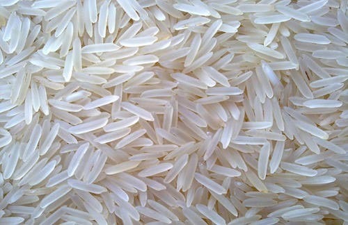 IR64 Rice