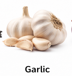Garlic